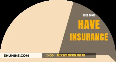Does Sonic Have Insurance? Exploring Coverage for the Blue Blur