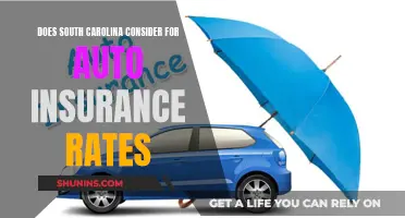 South Carolina Auto Insurance: What Factors Affect Your Rates?