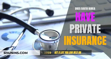 South Korea's Private Insurance: Understanding the System