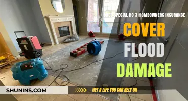 HO-3 Insurance: Flood Damage Covered?