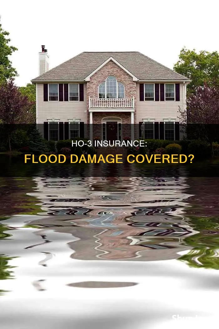 does special ho 3 homeowners insurance cover flood damage