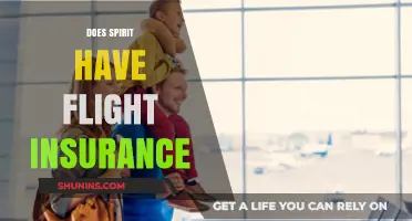 Does Spirit Airlines Offer Flight Insurance? What You Need to Know