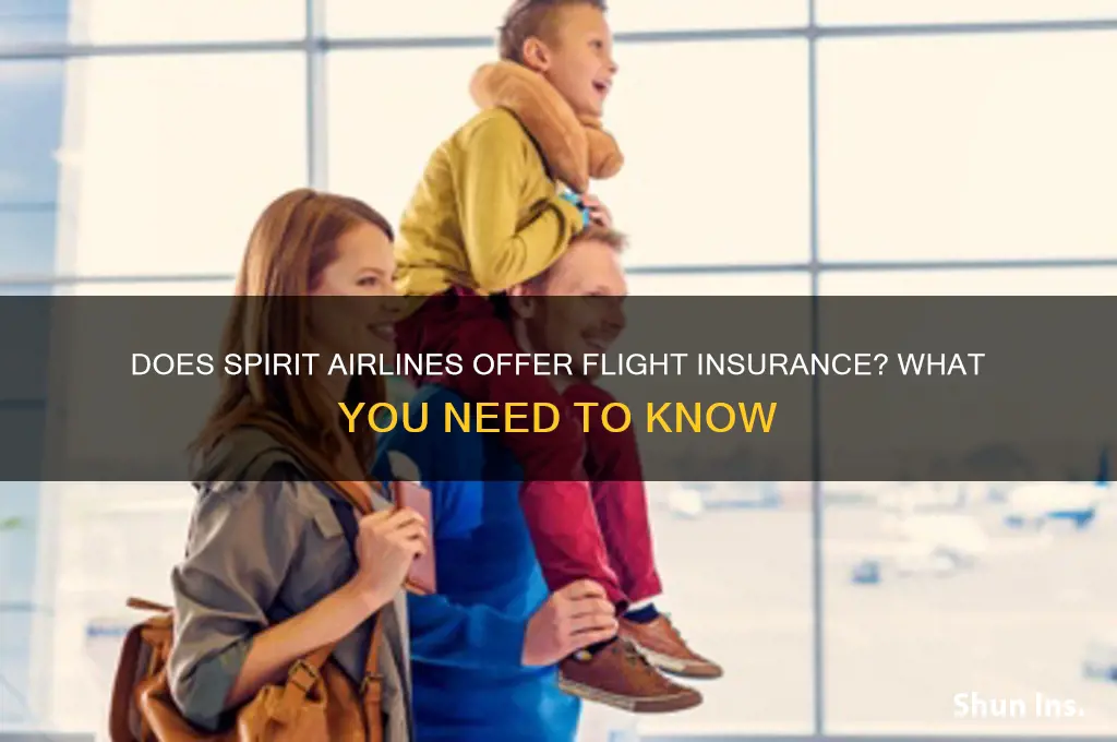 does spirit have flight insurance