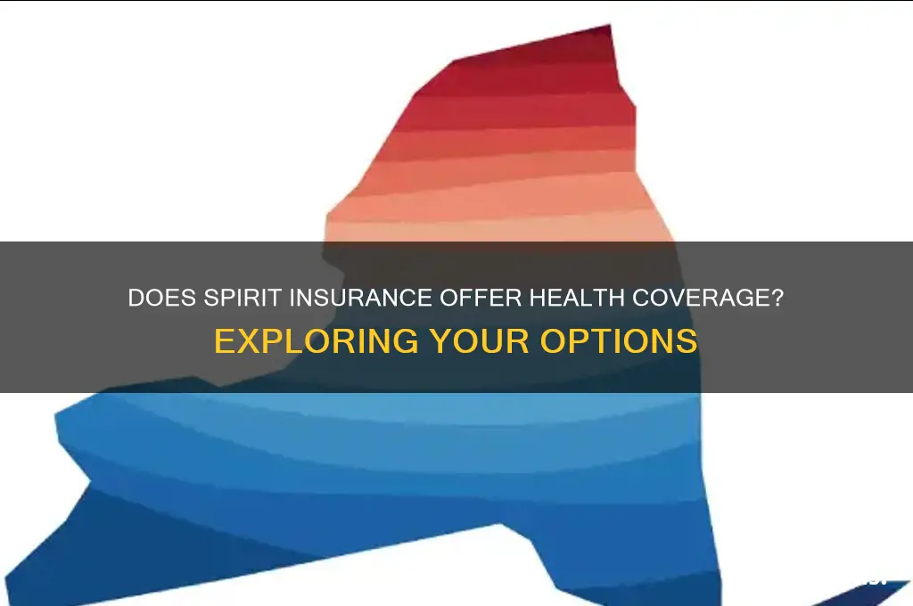 does spirit insurance have health insurance
