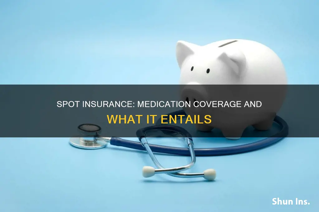 does spot insurance cover medication