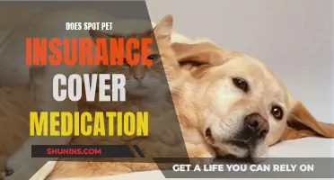Spot Pet Insurance: Medication Coverage and Your Options