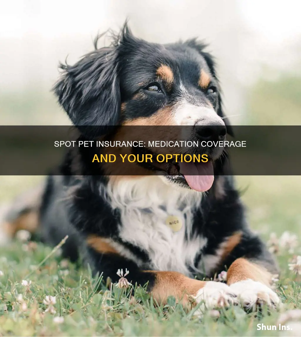 does spot pet insurance cover medication