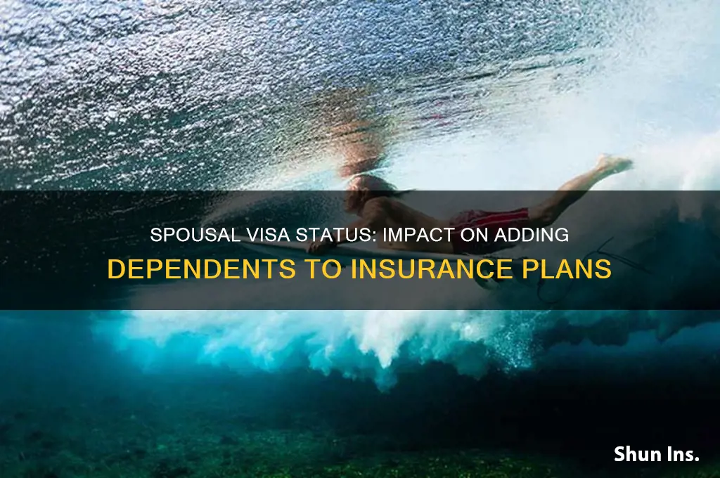 does spousal visa status matter for adding on insurance
