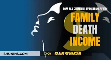 Life Insurance and SSA: Family Death Income Considerations