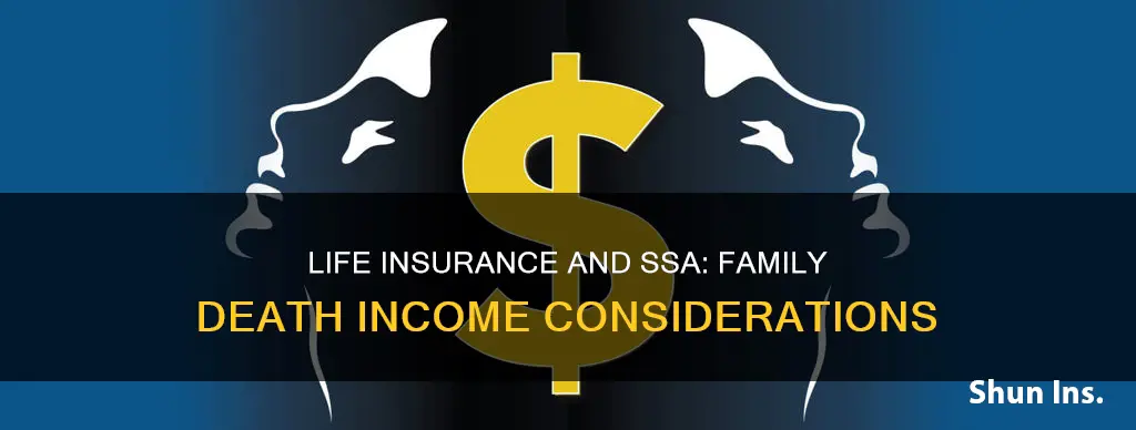 does ssa consider life insurance from family death income