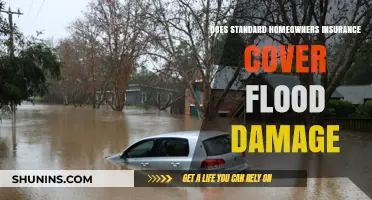 Homeowners Insurance: Flood Damage Covered or Not?
