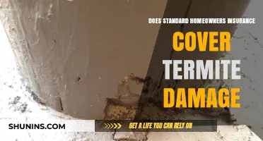 Termite Damage: Is Your Home Insurance Enough?