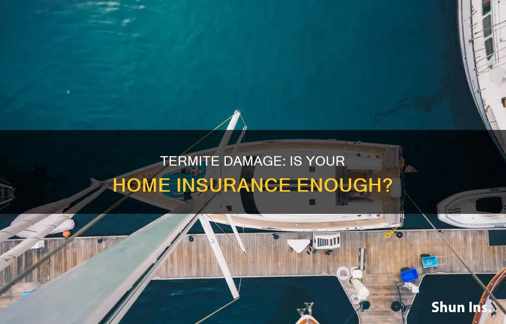 does standard homeowners insurance cover termite damage