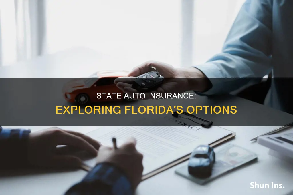 does state auto insurance write in fl