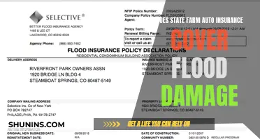 State Farm Auto Insurance: Understanding Flood Damage Coverage