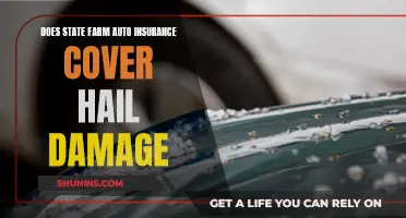 State Farm Auto Insurance: Hail Damage Protection