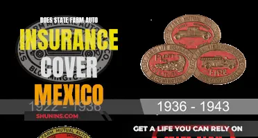 State Farm Auto Insurance: Exploring Mexican Coverage Options