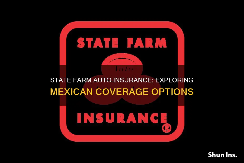 does state farm auto insurance cover mexico