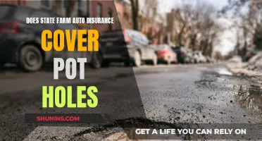 State Farm Auto Insurance: Pothole Protection?