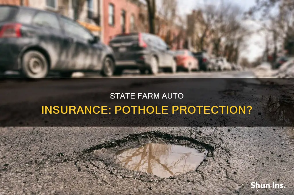 does state farm auto insurance cover pot holes