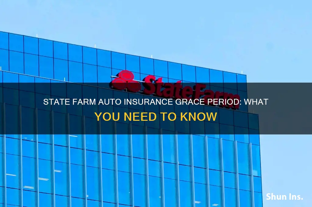 does state farm auto insurance have a grace period