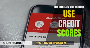 State Farm Auto Insurance: The Credit Score Conundrum