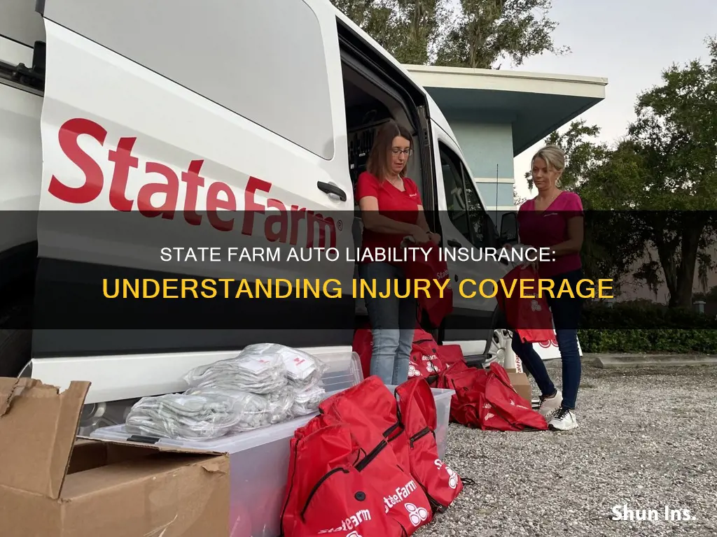 does state farm auto liability insurance cover injuries