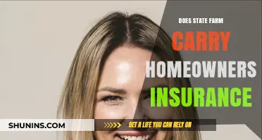 State Farm: A Comprehensive Homeowners Insurance Option