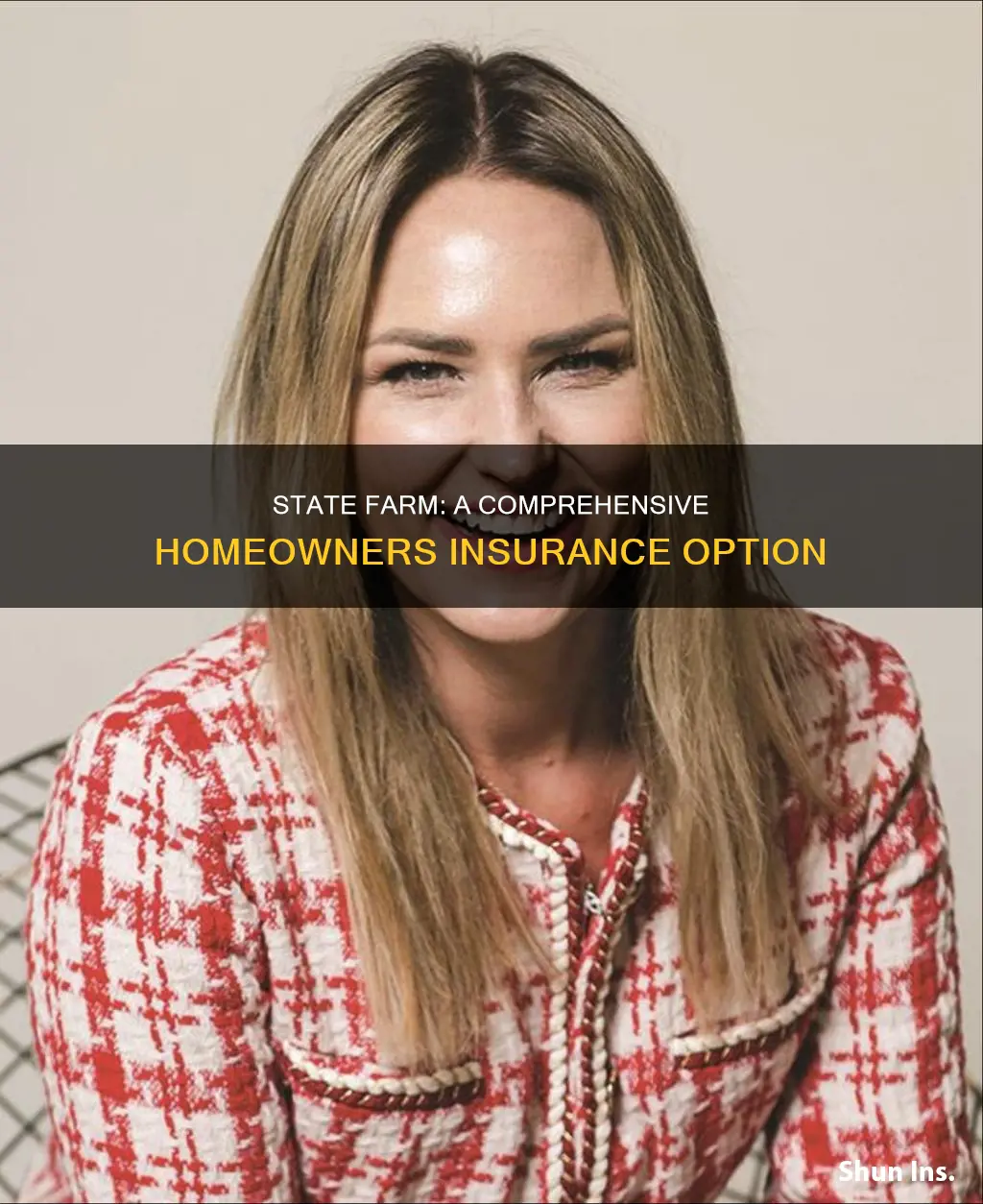 does state farm carry homeowners insurance