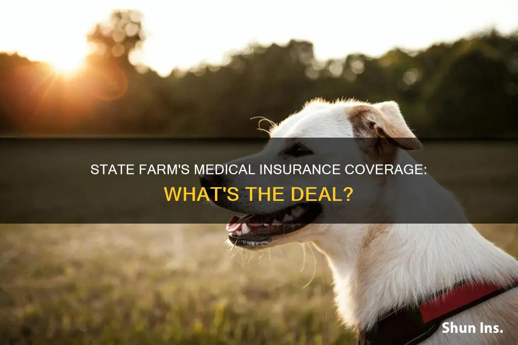 does state farm cover medical insurance