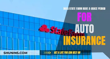 State Farm: Grace Period for Auto Insurance?