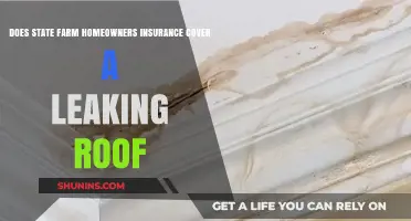 State Farm Homeowners Insurance: Does It Cover Leaky Roofs?