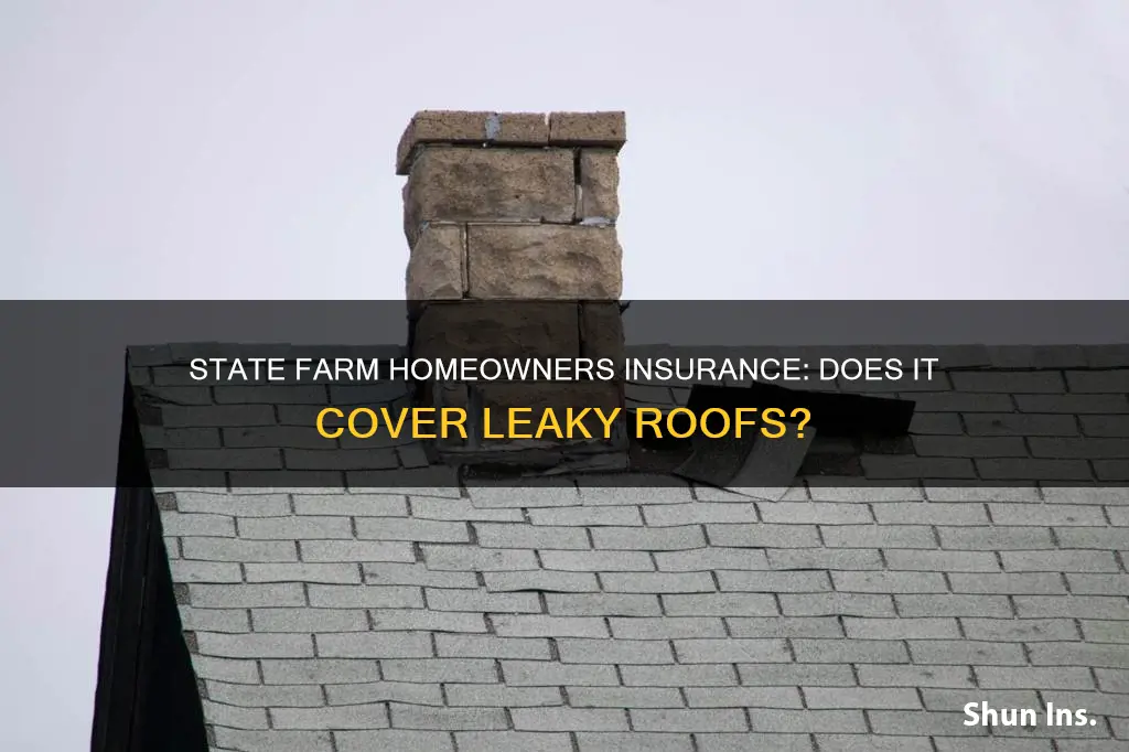 does state farm homeowners insurance cover a leaking roof