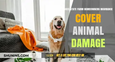 State Farm: What Animal Damage is Covered?
