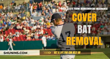 State Farm: Bat Removal Coverage for Homeowners