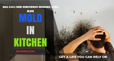 State Farm Insurance: Black Mold Covered in Your Kitchen?