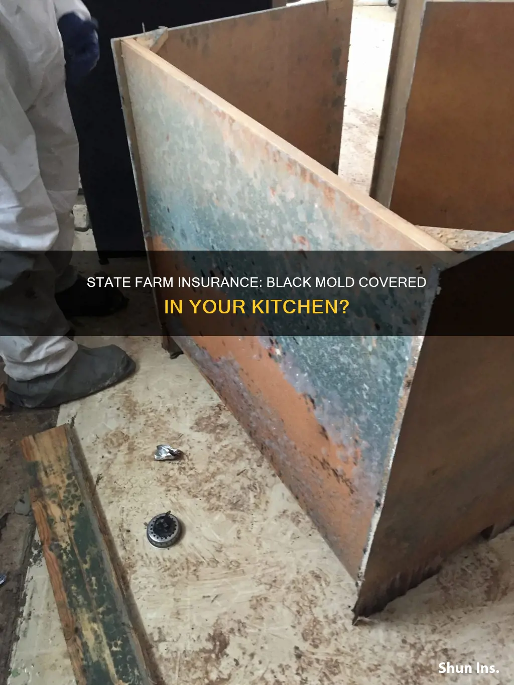 does state farm homeowners insurance cover black mold in kitchen