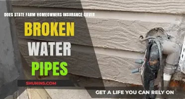 State Farm Insurance: What Water Pipe Damage is Covered?