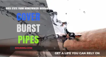 State Farm Home Insurance: Burst Pipes Covered?