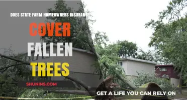State Farm Home Insurance: Fallen Trees Covered?
