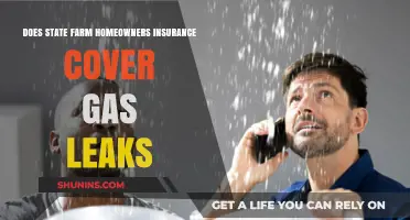 State Farm Home Insurance: Gas Leak Coverage?