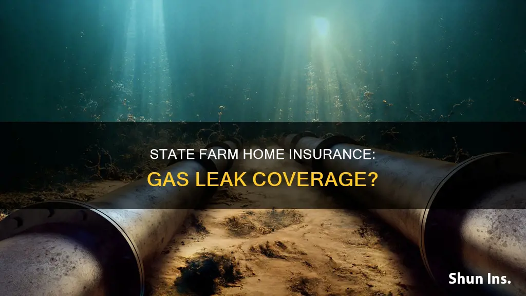 does state farm homeowners insurance cover gas leaks