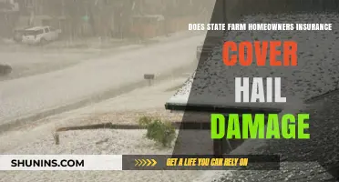 State Farm: Hail Damage and Your Home Insurance