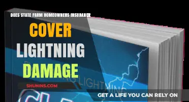 State Farm: Lightning Damage and Your Homeowners Insurance