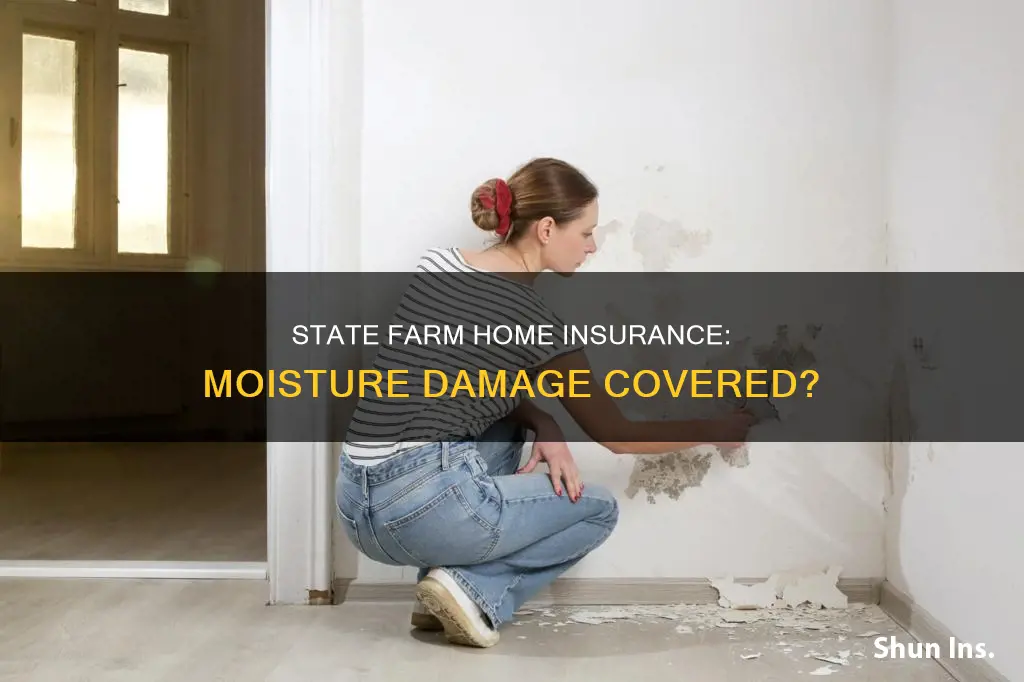 does state farm homeowners insurance cover moisture damage