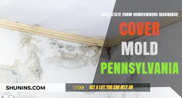 State Farm Mold Coverage: What Pennsylvania Homeowners Need to Know