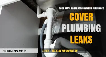 State Farm: Plumbing Leaks and Your Coverage