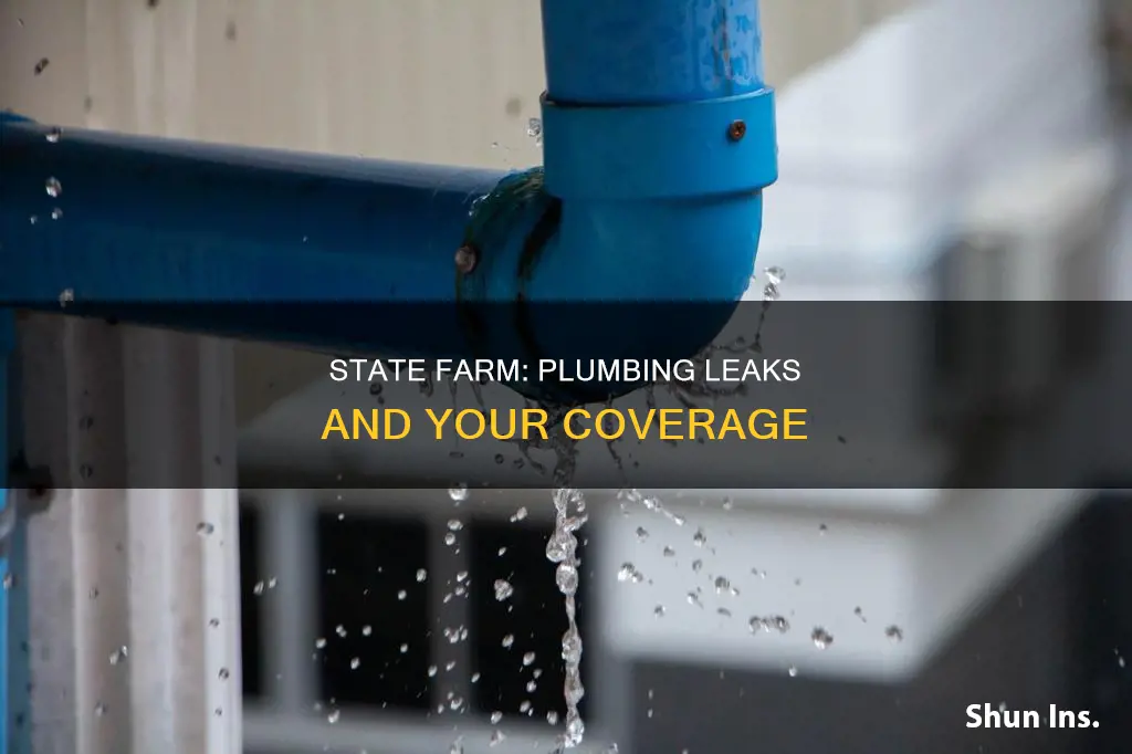 does state farm homeowners insurance cover plumbing leaks