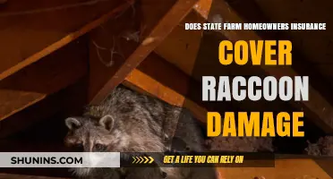 State Farm: Are You Covered for Raccoon Damage?