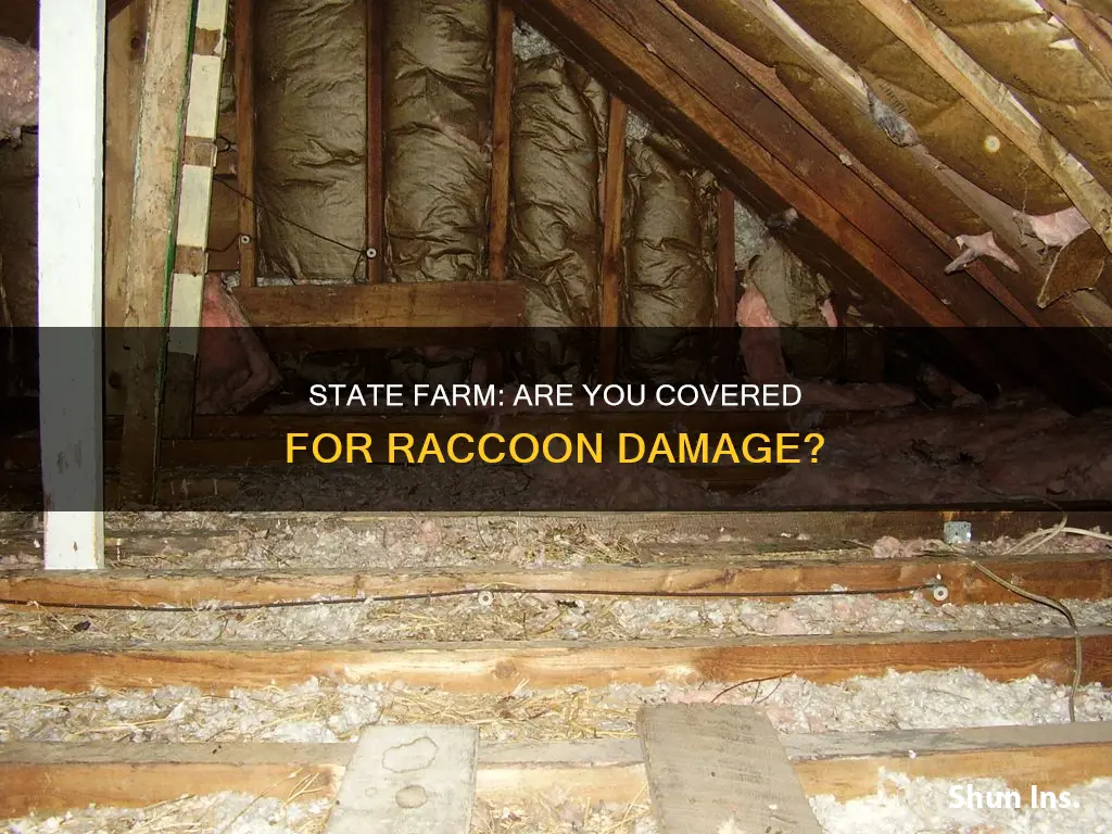 does state farm homeowners insurance cover raccoon damage